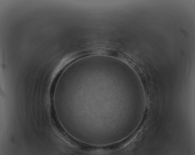 X0000091000198200708021608