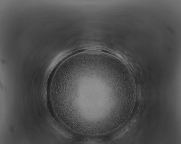 X0000091000199200708021608