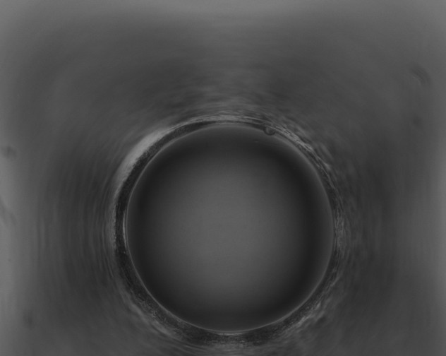 X0000091000200200708021608