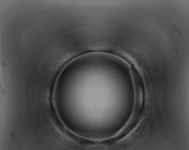X0000091000201200708021608