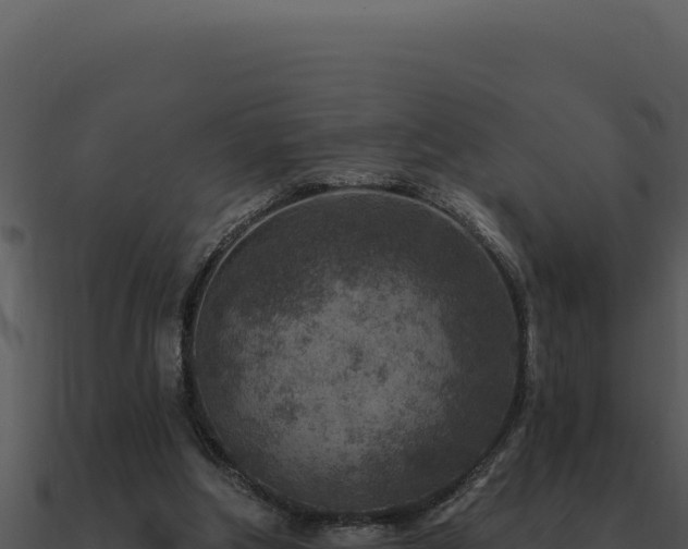 X0000091000202200708021608