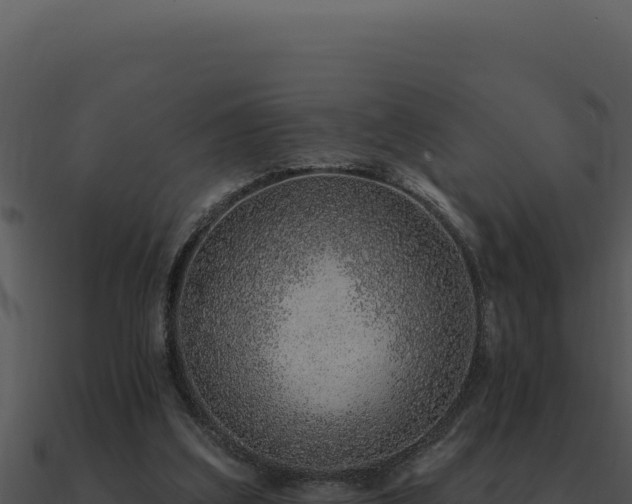 X0000091000203200708021608
