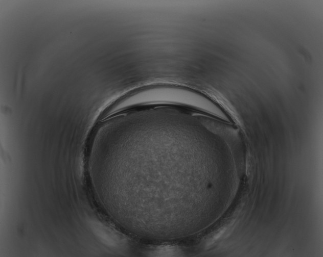 X0000091000204200708021608