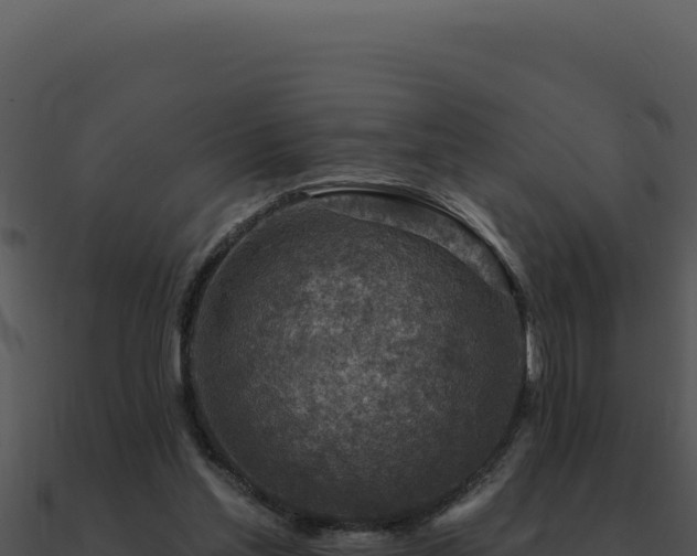 X0000091000205200708021608