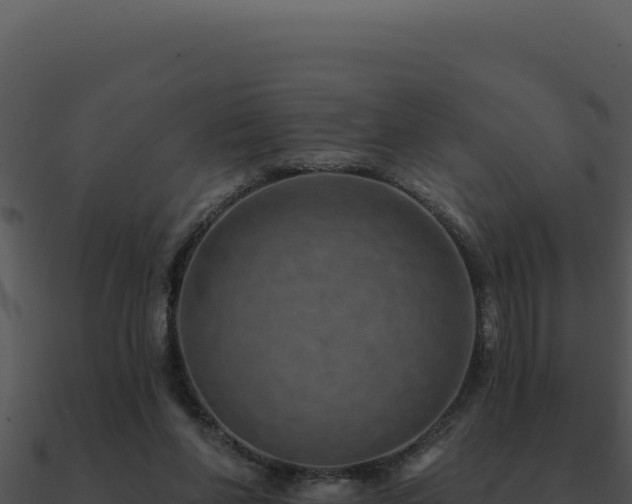 X0000091000206200708021607