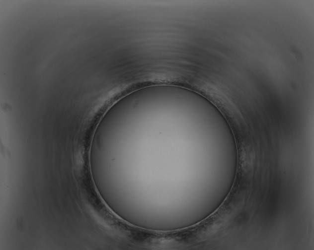 X0000091000208200708021607