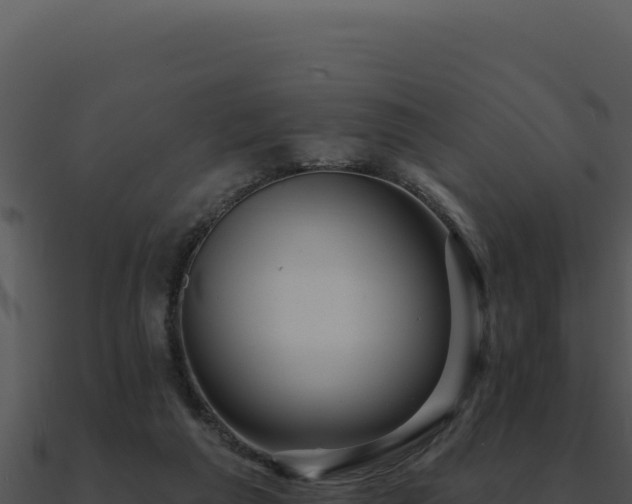 X0000091000209200708021607