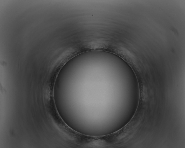 X0000091000210200708021607