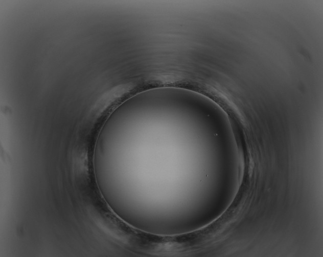 X0000091000212200708021607