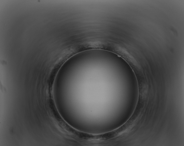 X0000091000213200708021607