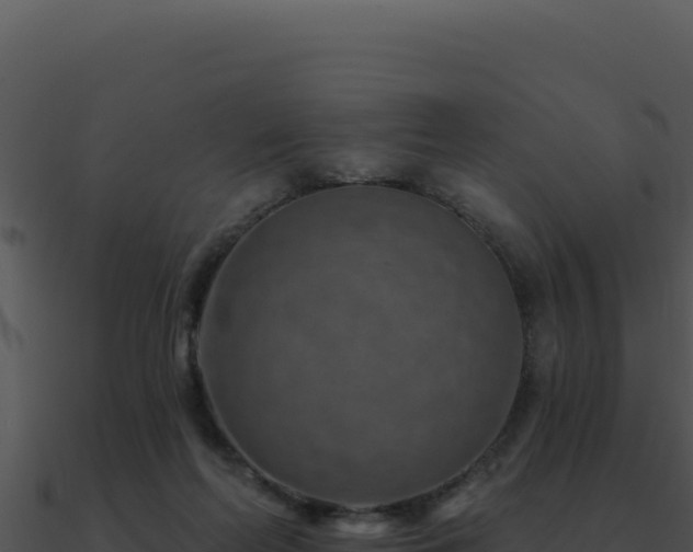 X0000091000214200708021607