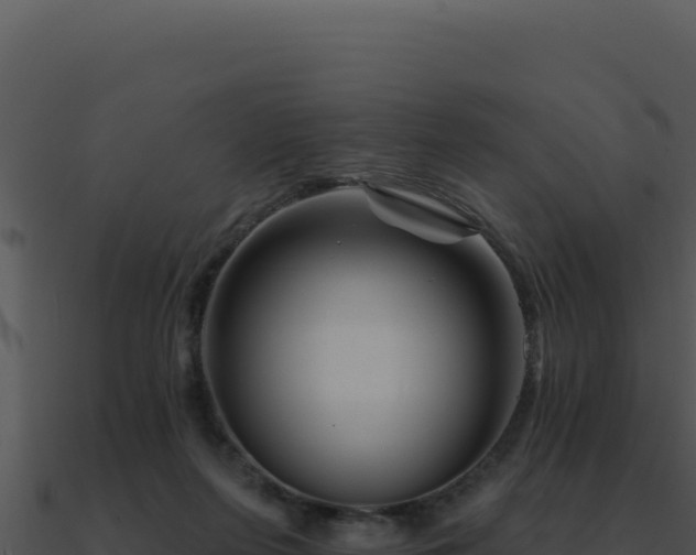 X0000091000215200708021607