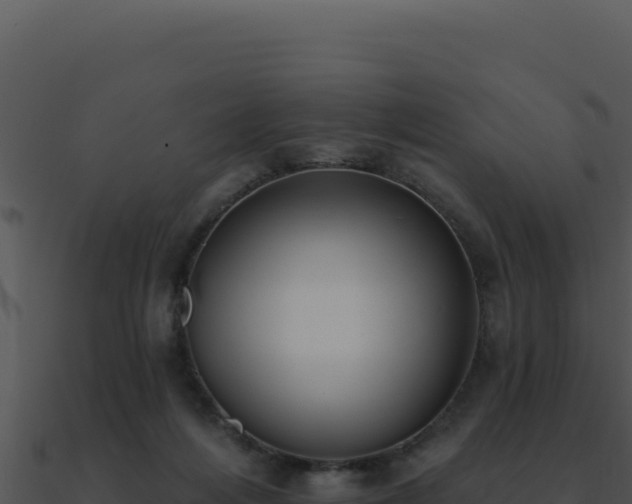 X0000091000216200708021607