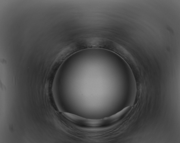 X0000091000217200708021607