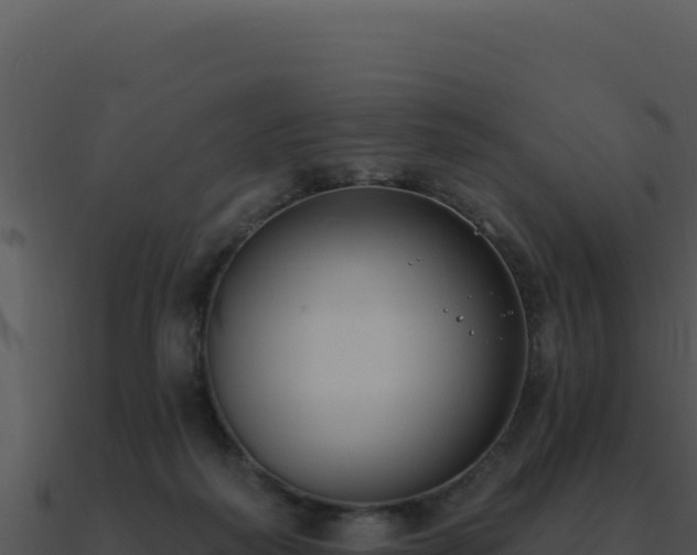 X0000091000218200708021607
