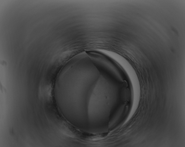 X0000091000219200708021607