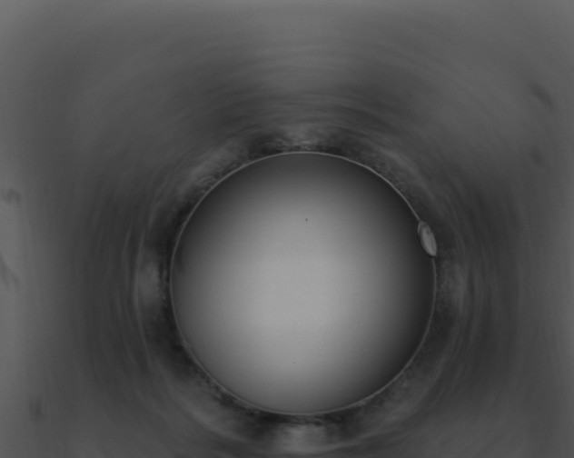 X0000091000220200708021607