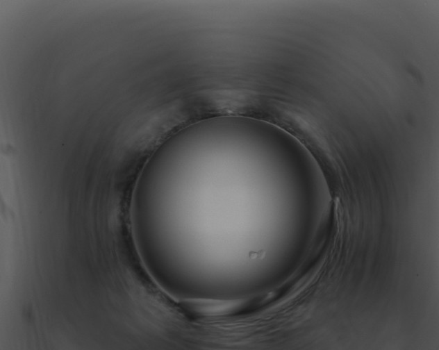 X0000091000221200708021607