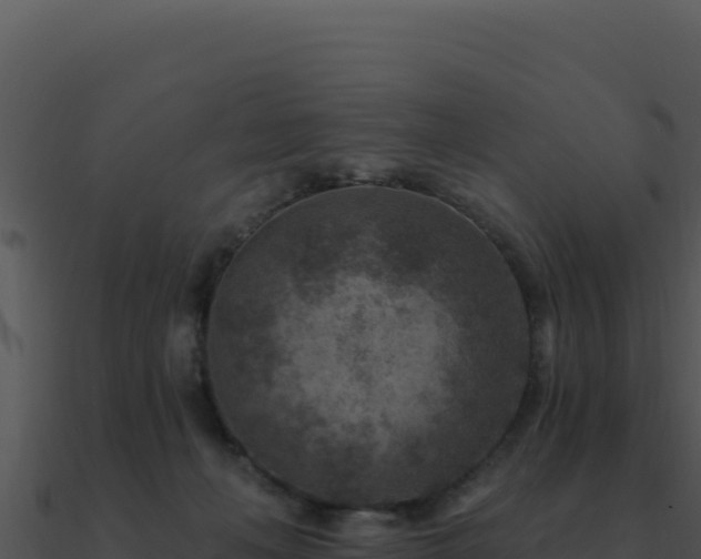 X0000091000222200708021607