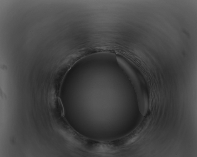 X0000091000223200708021607