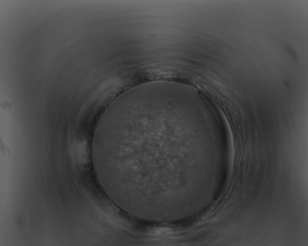 X0000091000224200708021607