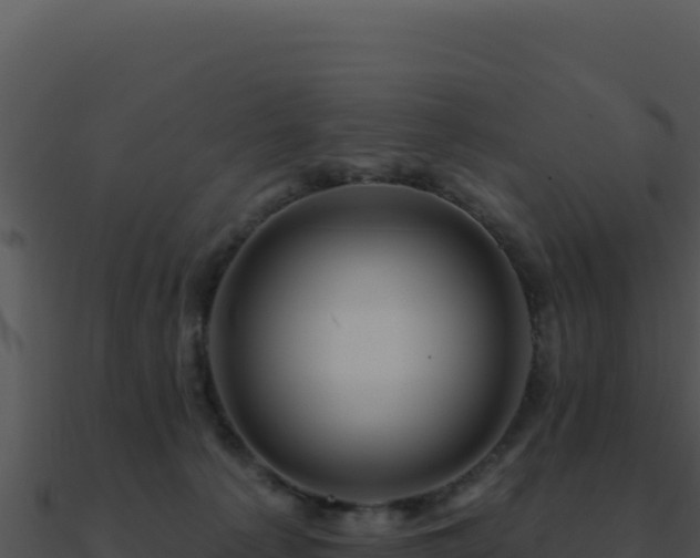 X0000091000225200708021607