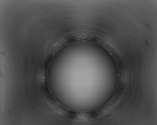 X0000091000226200708021607