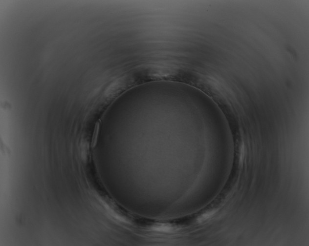 X0000091000227200708021607