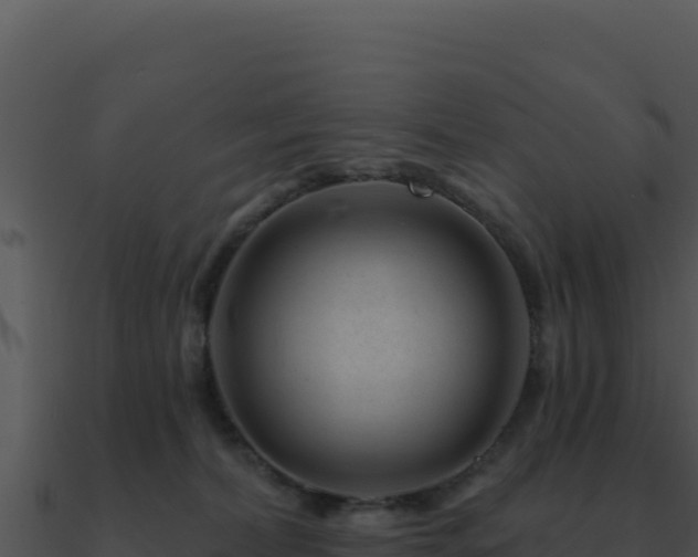 X0000091000228200708021607