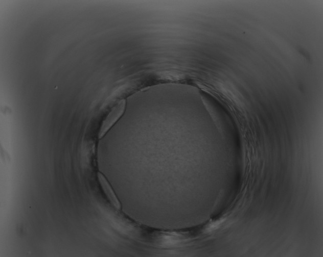 X0000091000229200708021607