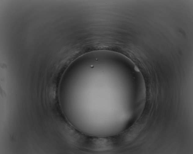 X0000091000230200708021607