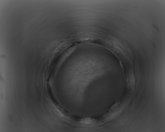 X0000091000231200708021607