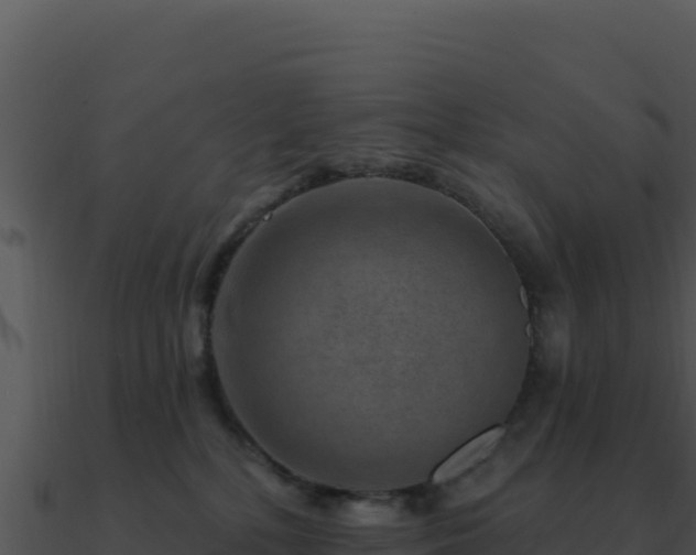 X0000091000232200708021607