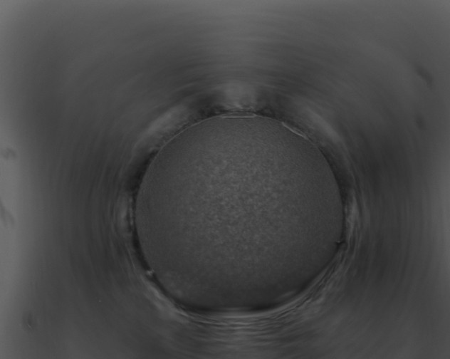 X0000091000233200708021607