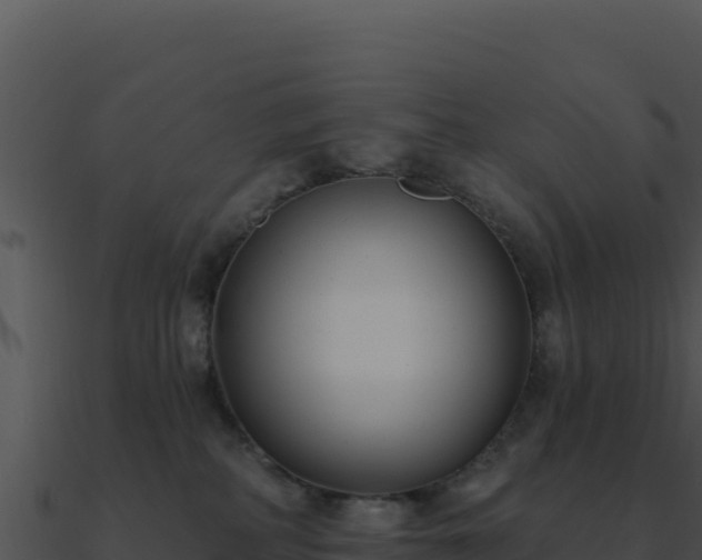 X0000091000234200708021607