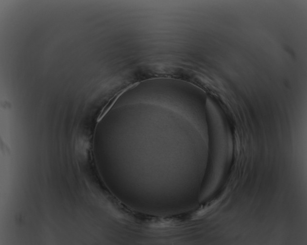 X0000091000235200708021607