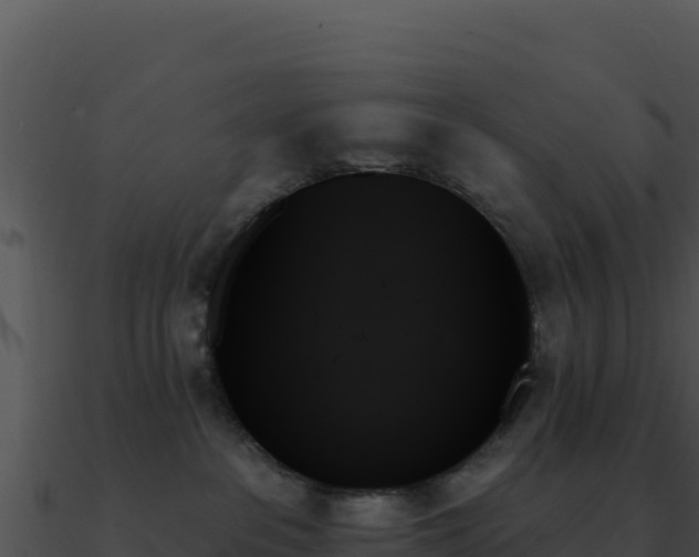 X0000091000237200708021607