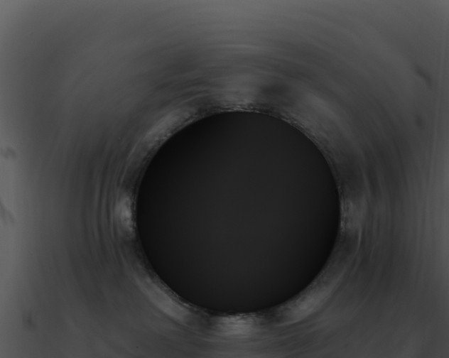 X0000091000238200708021607