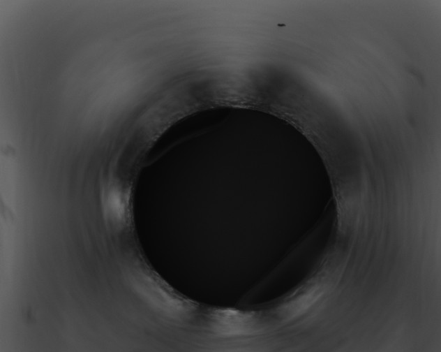 X0000091000239200708021607