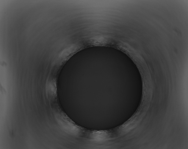 X0000091000240200708021607