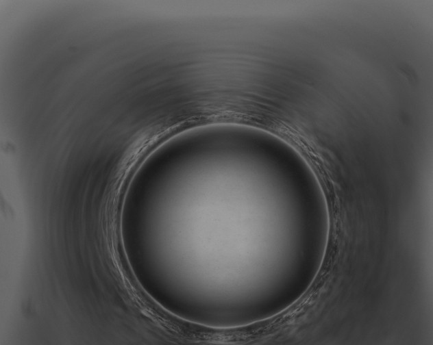 X0000091000241200708021606