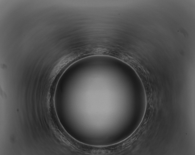 X0000091000242200708021606