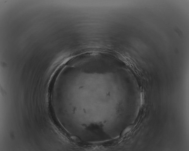 X0000091000243200708021606