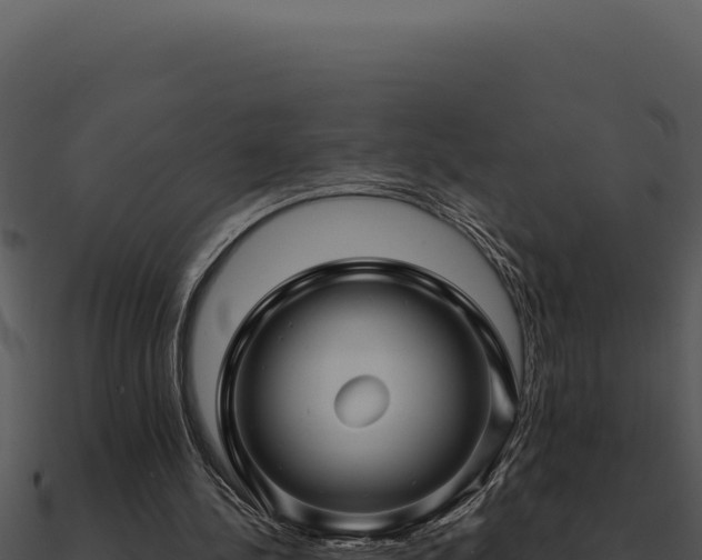 X0000091000244200708021606
