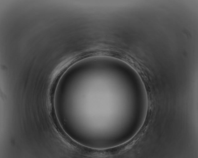 X0000091000245200708021606