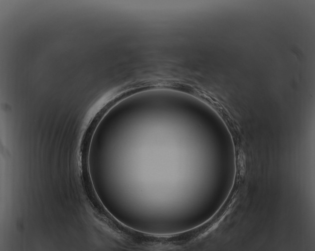 X0000091000246200708021607