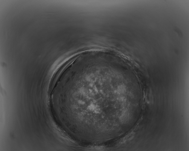 X0000091000247200708021607