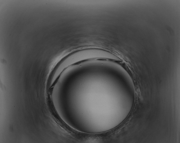 X0000091000248200708021607