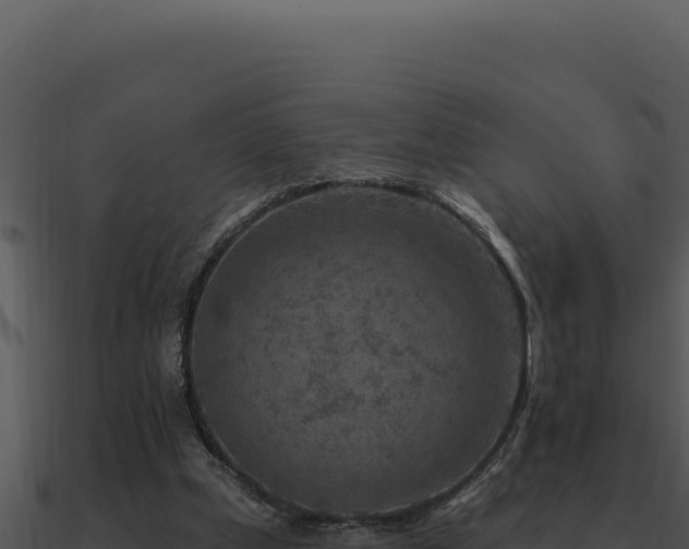 X0000091000249200708021607