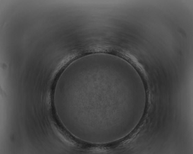 X0000091000250200708021607